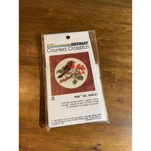 Vintage Bernat Counted Crosstitch 1981 Robin BirdFrame Pak - H00321